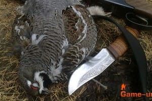 Что нужно знать про охотничий нож